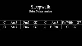 Brian Setzer  Sleepwalk Backing Track [upl. by Evelinn331]