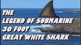 The Legend Of Submarine  30 Foot Great White Shark [upl. by Elleina944]