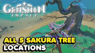 All 5 Sakura Tree Locations In Genshin Impact Sakura Arborism World Quest Guide [upl. by Steiner415]