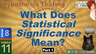 What Statistical Significance Means – Part 1 811 [upl. by Daus]