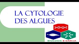 cours biologie végétale partie 3 cytologie des algues [upl. by Groscr767]