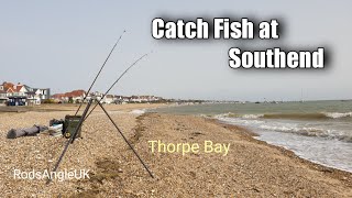 Catch Fish at Southend THORPE BAY [upl. by Dudden]