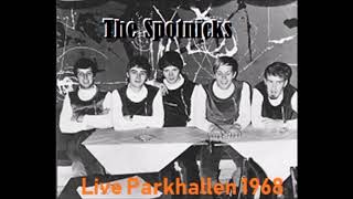 The Spotnicks live Parkhallen Tranås 1968 [upl. by Roselia247]