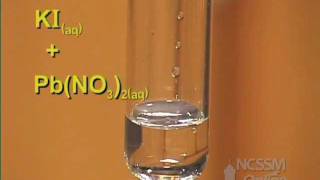 Double Displacement Lead Nitrate and Potassium Iodide [upl. by Artinek]