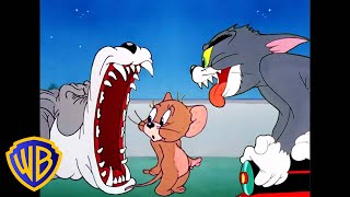 Tom and Jerry Funniest Moments [upl. by Adnarb]