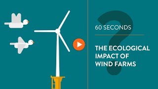 Ecological impact of wind turbines  IN 60 SECONDS [upl. by Airlee]