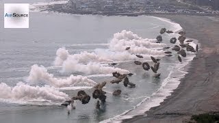 Massive Korea amp US Marines Amphibious Beach Landing [upl. by Yelroc386]