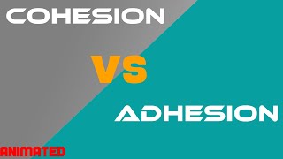 Cohesion vs Adhesion  Difference Between Cohesion and Adhesion  Tpoint Tech [upl. by Perce]