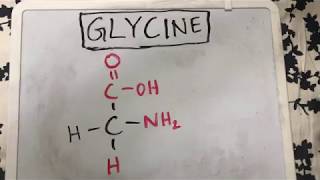 Glycine Structure  Amino Acid Basics [upl. by Heigl]