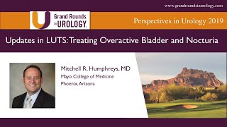 Updates in LUTS Treating Overactive Bladder and Nocturia [upl. by Nivac387]