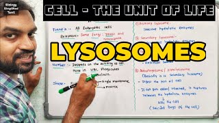 Lysosomes  Cell  The unit of Life [upl. by Kristianson554]