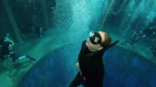 Freediving im Dive4Life Tauchturm Siegburg 2020  Deutschlands tiefster Pool [upl. by Bluefarb]