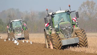 Fendt 942  939  NH T8435 SmartTrax  Maschio Gaspardo  Moro Aratri  SARDO [upl. by Anna-Maria969]