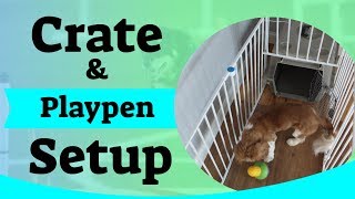 Puppy Crate Setup  Using A Puppy Playpen [upl. by Eletnahs]