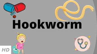 Hookworm Causes Signs and Symptoms Diagnosis and Treatment [upl. by Rider]