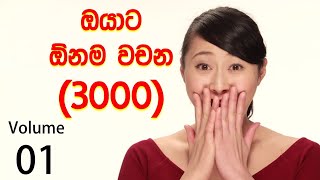 How to learn English in Sinhala  Most usable 3000 English Words  Easy English in Sinhala Volume 01 [upl. by Peggy]