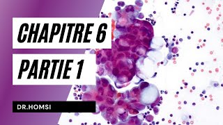 Cytologie  Chapitre 6 P1 La Membrane Plasmique  Dr Homsi [upl. by Romona]