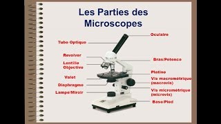 Microscope optique  biologie cellulaire [upl. by Frey]