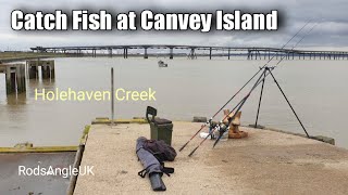 Catch Fish at Canvey Island HOLEHAVEN CREEK [upl. by Walsh]