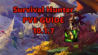 Survival Hunter PVE DPS guide 1017 [upl. by Cirdor]