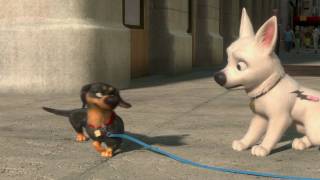 Volt  Bandeannonce 2 I Disney [upl. by Ringler]