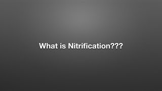 What is Nitrification [upl. by Nalac]