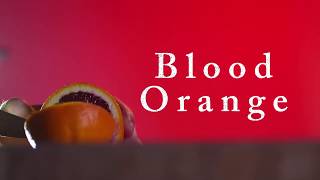 Blood Orange teaser trailer [upl. by Pacien]