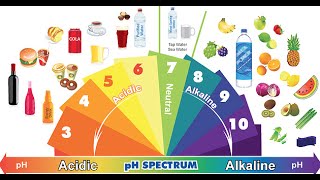 Acidic Foods vs Alkaline Foods [upl. by Anor931]