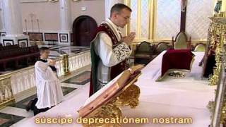 FSSP Video on Traditional Latin Mass Part 13 [upl. by Nwahsuq]