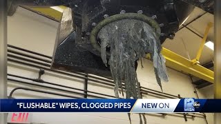 Flushable wipes clogging Milwaukee pipes [upl. by Eislek]