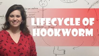 Lifecycle of Hookworm [upl. by Yerac]