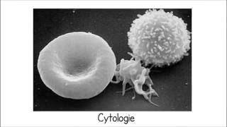 Chapitre 1  Organisation générale de la cellule 1ère partie  cytologie [upl. by Cordova]