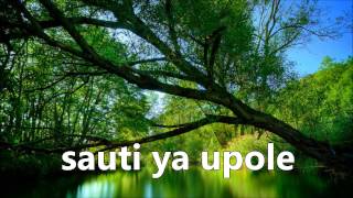 Roho Mtakatifu by Msanii Records Chorale [upl. by Alessandro]