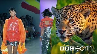 Can Fashion Be Sustainable  BBC Earth [upl. by Siriso373]