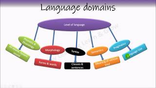 Phonetics  Phonology  Morphology  Syntax  Semantics  Pragmatics [upl. by Ceporah]