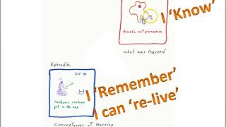 Memory Episodic and Semantic memory [upl. by Matheson162]