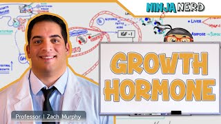 Endocrinology  Growth Hormone [upl. by Ninette]