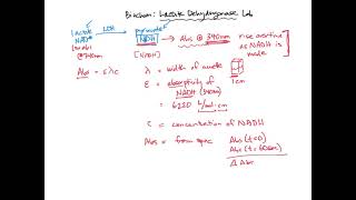 Calculating LDH activity  BIOL307 [upl. by Quillon]