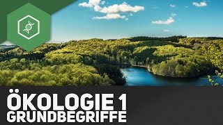 Grundbegriffe der Ökologie  Ökologie 1 [upl. by Alyad]