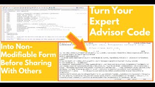 How To Export Meta Trader Expert Advisor EA So Others Cant Modify Code [upl. by Aleda177]