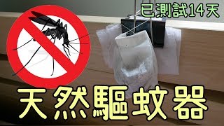 【DIY】驅蚊超簡單已測試14天0蚊子 簡單自製天然驅蚊器及用法示範 [upl. by Teufert]