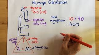 Microscope Calculations  p14 [upl. by Cordell]