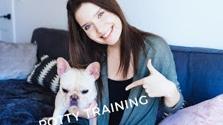 How to Housebreak and Crate Train a Puppy in 3 days  In steps  Advice from a Dog Trainer [upl. by Yrekaz225]