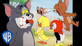 Tom amp Jerry  Animal Kingdom  Classic Cartoon Compilation  WB Kids [upl. by Cheffetz791]