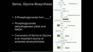 Serine Glycine Biosynthesis [upl. by Ruhtua]