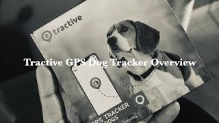 Tractive GPS Tracker for Dogs [upl. by Kartis]