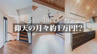 【ルームツアー】収納豊富な驚きの成功事例！【賃貸併用住宅】 [upl. by Dyche]