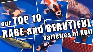 Our TOP 10 RARE and BEAUTIFUL varieties of KOI [upl. by Bixby]