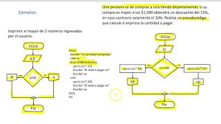 Diagramas de Flujo nivel bachillerato [upl. by Twedy123]