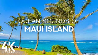 8 HOURS of Ocean Songs with Wind Sounds and Bird Chirping  4K Tropical Beach Maui island Hawaii [upl. by Aivax]